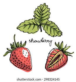 Set of isolated sketchy style strawberry/ Doodle fruits/ Hand drawn vector illustration