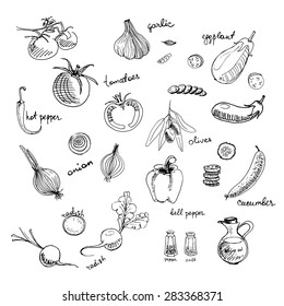 Set of isolated sketchy style vegetables/ Doodle vegetables in black and white/ Vector illustration