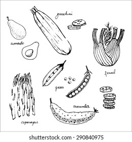 Set of isolated sketchy style vegetables, monochrome/ Doodle vegetables/ Hand drawn vector illustration