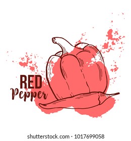 Set of isolated sliced bulgarian or bell, sweet pepper with watercolor splash or stain, blob. Natural vegetable food or salad ingredient, seasoning.Vegetarian, vegan capsicum plant for organic market