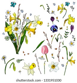 A set of isolated spring flowers and leaves. 