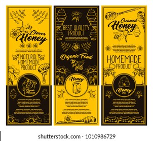 Set of isolated stickers or labels for clover honey bottle. Flyer with honey bee and special spoon, sunflower and hive, honeycomb and bumblebee. Healthy nutrition, summer food and farming theme