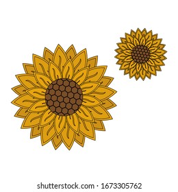 Set von Bildern zur Illustration von Sonnenblumen auf weißem Hintergrund, die für Logos, Magazine, Bücher, Poster, Menüeinträge und Webseiten verwendet werden.
