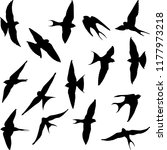set of isolated swallow silhouettes


