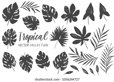 Set with isolated textured hand drawn black leaves on white background. Vector tropical palm leaves, jungle, split leaf, philodendron, monstera. Jungle trees and plants. Botanical floral illustration