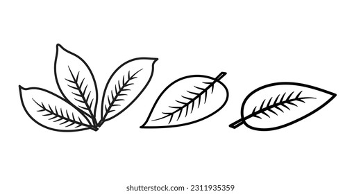 Set of isolated three different shape leaves black  white on white background
