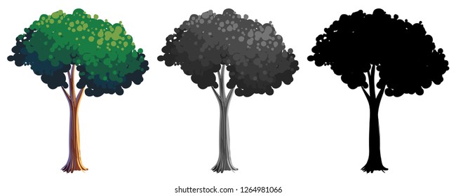 Set of isolated tree illustration