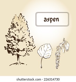The set of isolated trees, leaves, fruits. Drawing by hand.