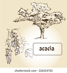 The set of isolated trees, leaves, fruits. Drawing by hand.