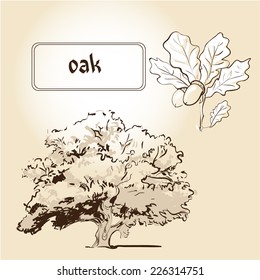 The set of isolated trees, leaves, fruits. Drawing by hand.