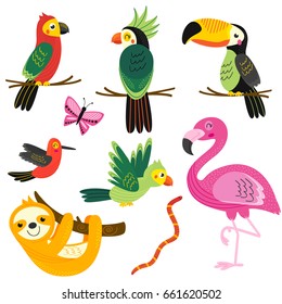 set of isolated with tropical animals - vector illustration, eps