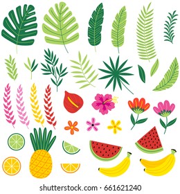 set of isolated with tropical plants and fruits - vector illustration, eps
