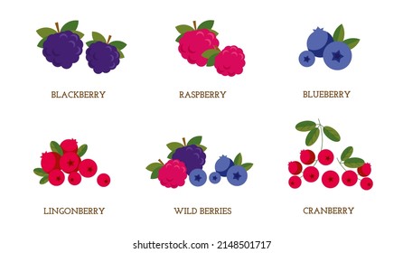 A set of isolated vector berries. Cranberries, blueberries, raspberries, strawberries, blackberries, blueberries, cranberries, wild berries. Cartoon flat illustration.