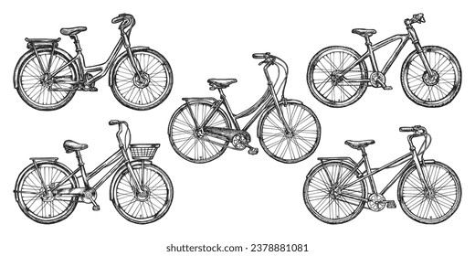 Set of isolated vector bike sketch. Retro or vintage bicycle. Old man and woman sport and countryside vehicle. Hand drawn engraved transport. Wheel transport pencil drawing. Traveling and riding