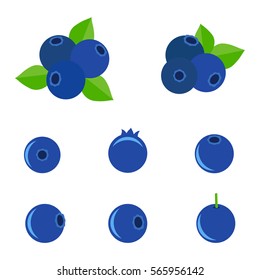 Set of Isolated vector of blueberries. Fresh blueberry fruits with leaves isolated on white background.
