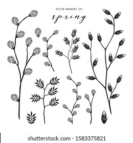 Set of isolated vector branch and leaf, autumn, spring, summer. Detailed macro illustration, not autotrace, constructor design