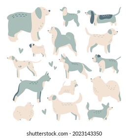 Set of isolated vector drawings of different dog breeds, cute trendy illustration for children