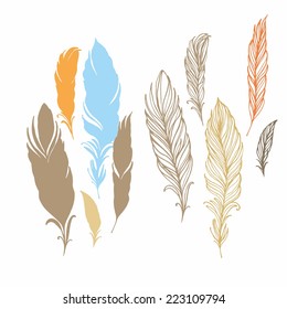 Set of isolated vector Feathers on white background