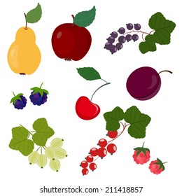 Set of isolated vector fruits (pear, apple, currant,cherry,plum,raspberry and jam berry)