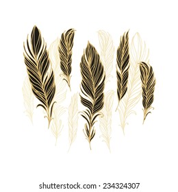 Set of isolated vector golden - black feathers on white background