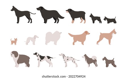 Set of Isolated vector illustrations of different dog breeds