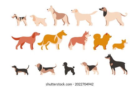 Conjunto de ilustraciones vectoriales aisladas de diferentes razas de perros