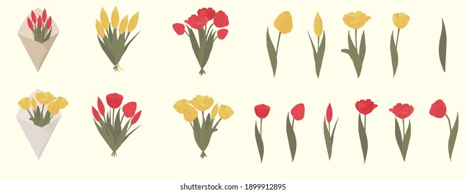 Un conjunto de ilustraciones vectoriales aisladas de flores festivas, primaverales y ramos sobre un fondo blanco. Los tulipanes son amarillos y rojos con hojas verdes.