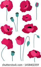 A set of isolated vector illustrations of poppies in pink and red colors.