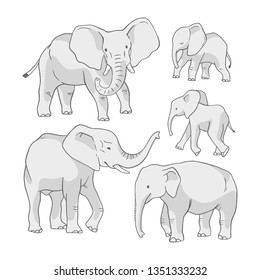 Set with isolated vector objects, elephant big and baby on white background