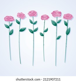 Set of isolated vector pink rose flowers