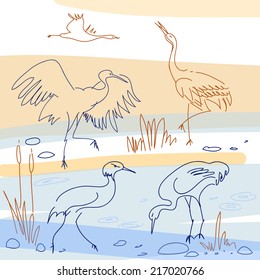 Set of isolated vector sketches. Bird, stork in different angles
