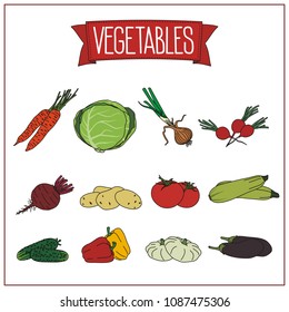 Set of isolated vegetables on white background: carrots, cabbage, onion, radish, beet, potatoes, tomato, zucchini, cucumber, bell pepper, squash, eggplant.