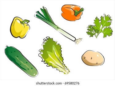 set of isolated vegetables part 4.  illustration in aquarelle style.