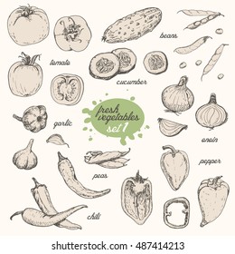 Set of isolated vegetables in a sketch style. Pepper, tomato, cucumber, peppers, onions, garlic, peas and beans. Vector illustration for your design