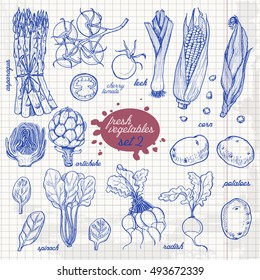 Set of isolated vegetables in a sketch style on paper. Asparagus, cherry tomatoes, corn, potatoes, radish, artichoke, spinach, leek. Vector illustration for your design