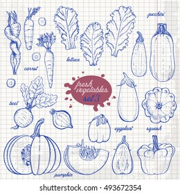 Set of isolated vegetables in a sketch style on paper. Carrots, lettuce, zucchini, eggplant, pumpkin, beets, squash. Vector illustration for your design