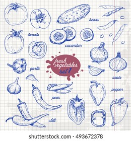 Set of isolated vegetables in a sketch style on paper. Pepper, tomato, cucumber, peppers, onions, garlic, peas and beans. Vector illustration for your design