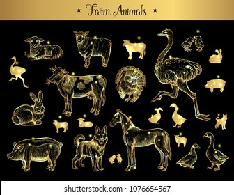 Set of isolated vintage golden and royal sketches of farm animals. Pig or swine, dog and horse, hare or rabbit, bunny and cow, ostrich or camel-bird, turkey and chickens, duck. Domestic animals theme