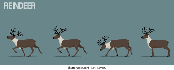 Set of isolated walking reindeer.
