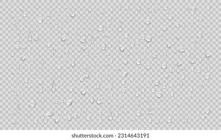 Set of isolated water drops on transparent background. Realistic vector illustration.
