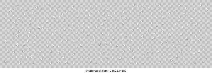 Set of isolated water drops on transparent background. Realistic vector illustration.