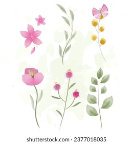 Set of isolated watercolor floral elements. Vector illustration