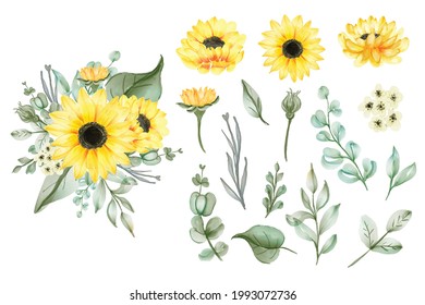 set of isolated watercolor yellow sun flower leaves