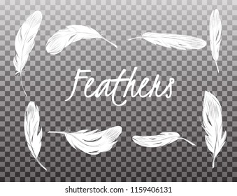 Set of isolated white feathers on transparent background in realistic style vector illustration.