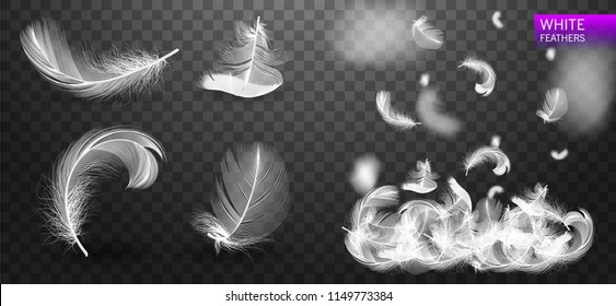 Set of isolated white fluffy feathers on transparent background. Falling twirled realistic feathers isolated on a transparent background. Vector Illustration