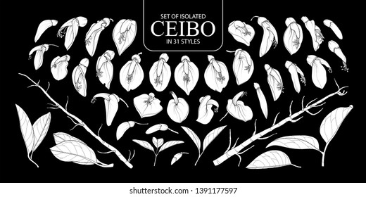 Set of isolated white silhouette Ceibo in 31 styles. Cute hand drawn flower vector illustration in white plane without outline on black background.