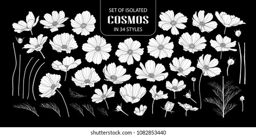 Set of isolated white silhouette cosmos in 34 styles. Cute hand drawn flower vector illustration in white plane without outline on black background.