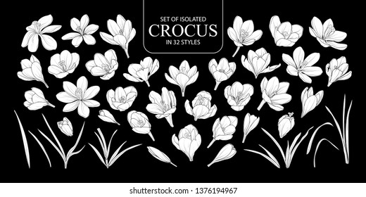 Set of isolated white silhouette Crocus in 32 styles. Cute hand drawn flower vector illustration in white plane without outline on black background.
