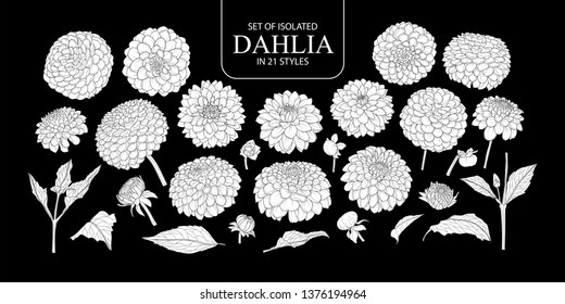 Set of isolated white silhouette Dahlia in 21 styles. Cute hand drawn flower vector illustration in white plane without outline on black background.