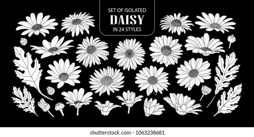 Set Isolated White Silhouette Daisy 24 Stock Vector (Royalty Free ...